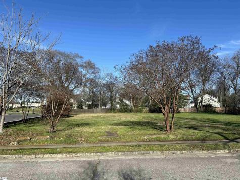 00 David Street Greenville SC 29607