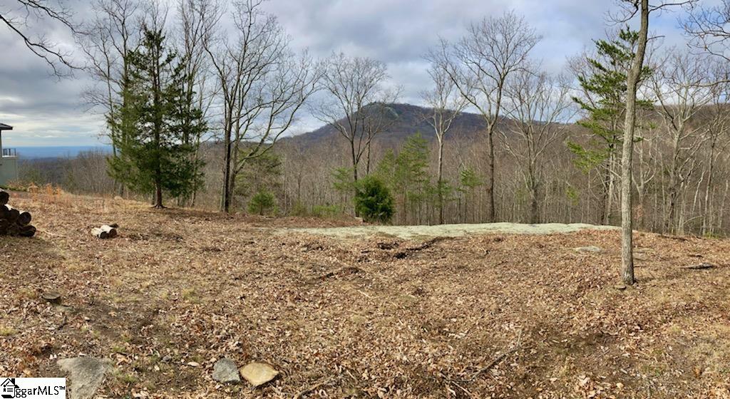 16 Heather Hill Lane Landrum SC 29356