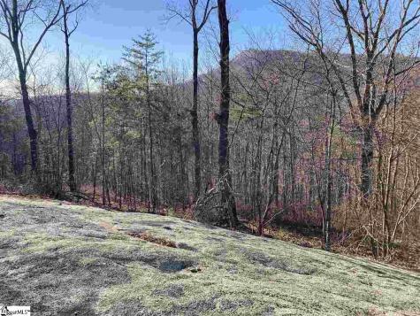 16 Heather Hill Lane Landrum SC 29356