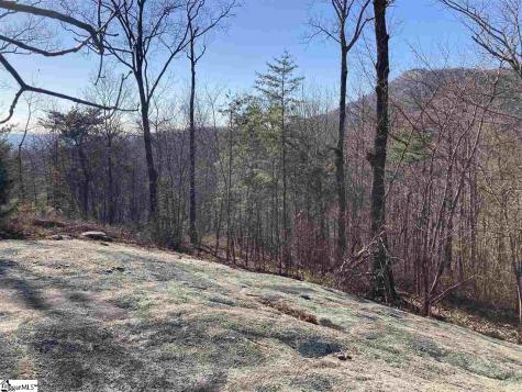 16 Heather Hill Lane Landrum SC 29356