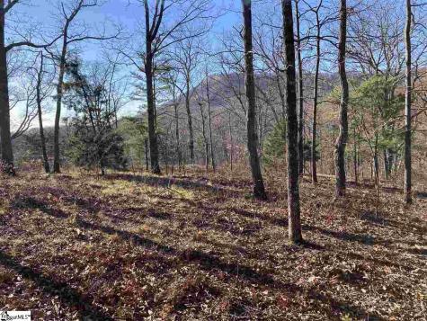 16 Heather Hill Lane Landrum SC 29356