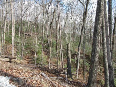 Belvoir Drive Pickens SC 29671