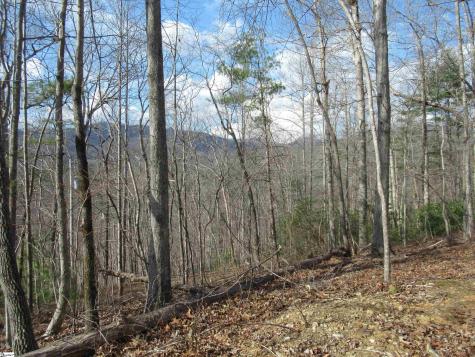 Belvoir Drive Pickens SC 29671
