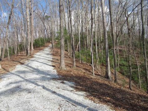 Belvoir Drive Pickens SC 29671