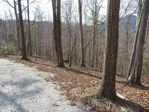 Belvoir Drive Pickens SC 29671