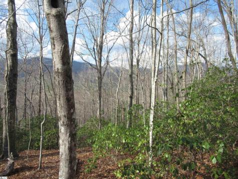 Belvoir Drive Pickens SC 29671