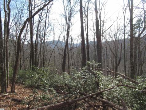 Belvoir Drive Pickens SC 29671