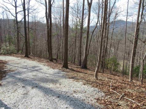 Belvoir Drive Pickens SC 29671