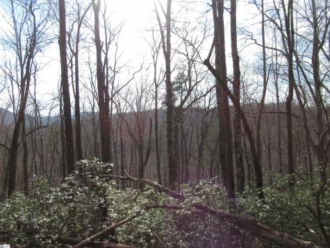 Belvoir Drive Pickens SC 29671