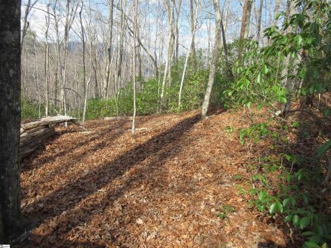 Belvoir Drive Pickens SC 29671