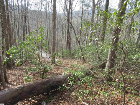 Belvoir Drive Pickens SC 29671