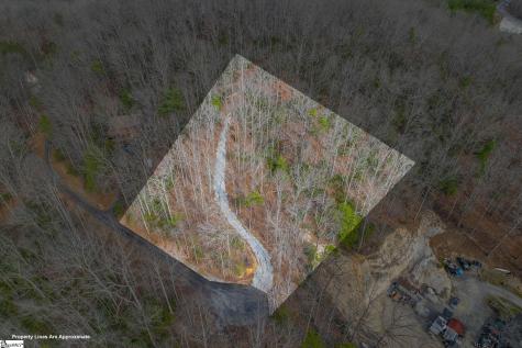 Belvoir Drive Pickens SC 29671