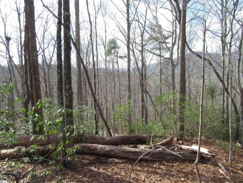 Belvoir Drive Pickens SC 29671