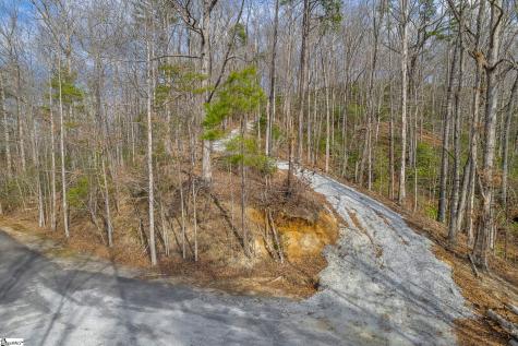 Belvoir Drive Pickens SC 29671