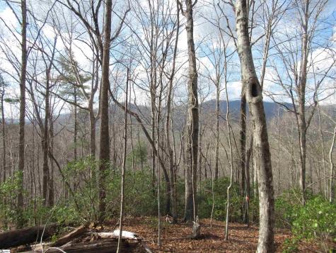 Belvoir Drive Pickens SC 29671