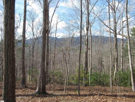 Belvoir Drive Pickens SC 29671
