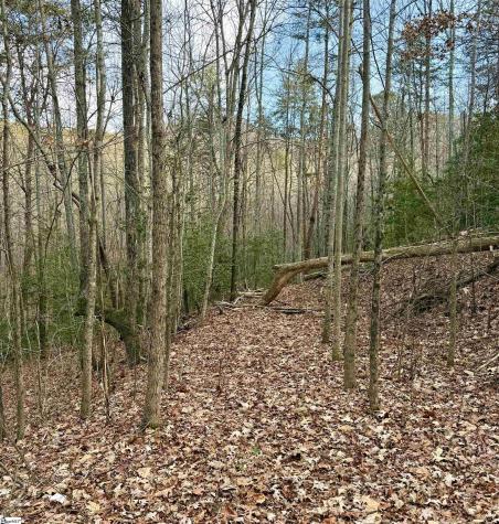 91 Roco Trail Travelers Rest SC 29690