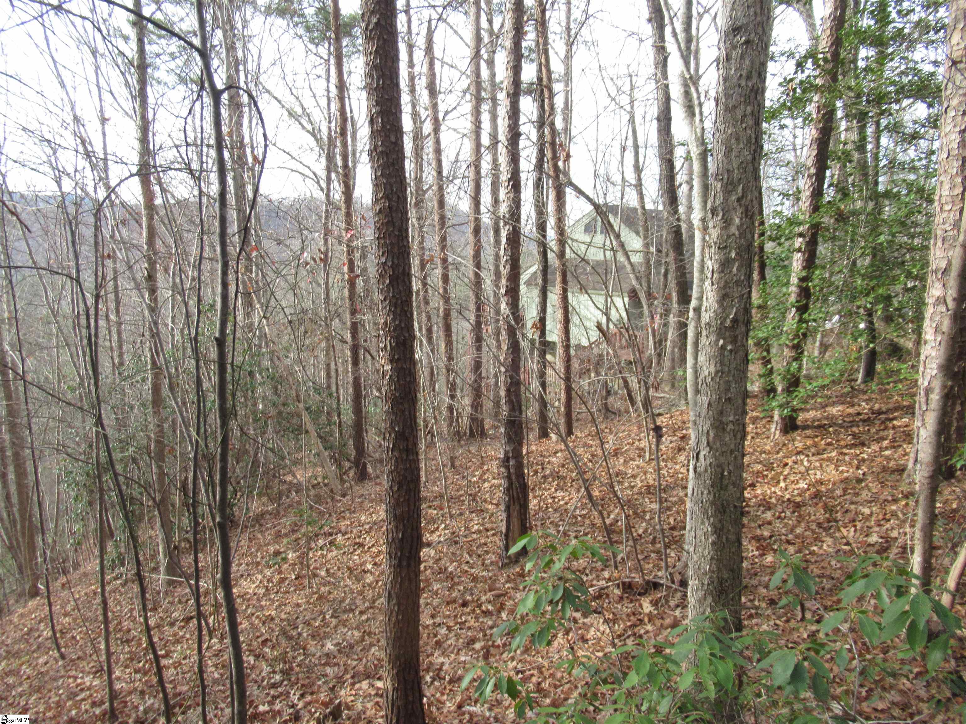 Lone Rock Court Pickens SC 29671