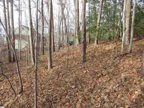 Lone Rock Court Pickens SC 29671