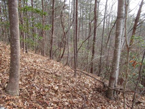 Lone Rock Court Pickens SC 29671