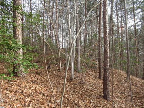 Lone Rock Court Pickens SC 29671
