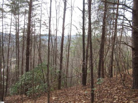 Lone Rock Court Pickens SC 29671