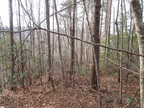 Lone Rock Court Pickens SC 29671