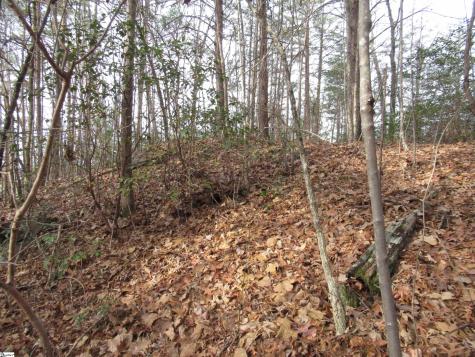 Lone Rock Court Pickens SC 29671