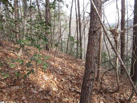 Lone Rock Court Pickens SC 29671
