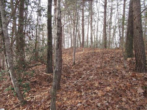 Lone Rock Court Pickens SC 29671