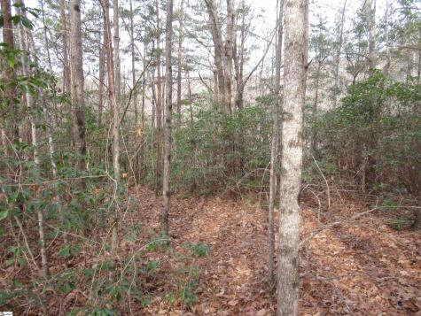Lone Rock Court Pickens SC 29671