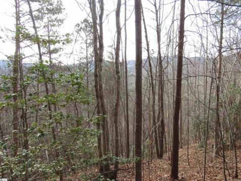 Lone Rock Court Pickens SC 29671