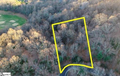 124 Mossy Glenn Drive Landrum SC 29356