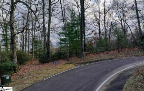 124 Mossy Glenn Drive Landrum SC 29356