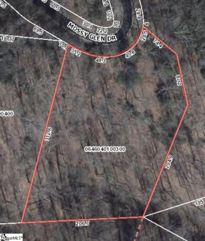 124 Mossy Glenn Drive Landrum SC 29356
