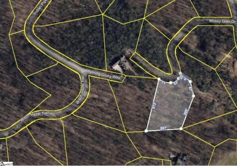 124 Mossy Glenn Drive Landrum SC 29356