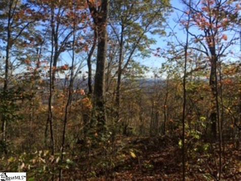 19 Grosbeak Way Landrum SC 29356
