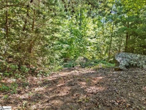 19 Grosbeak Way Landrum SC 29356