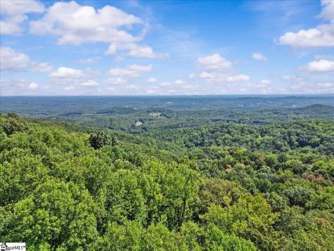 19 Grosbeak Way Landrum SC 29356