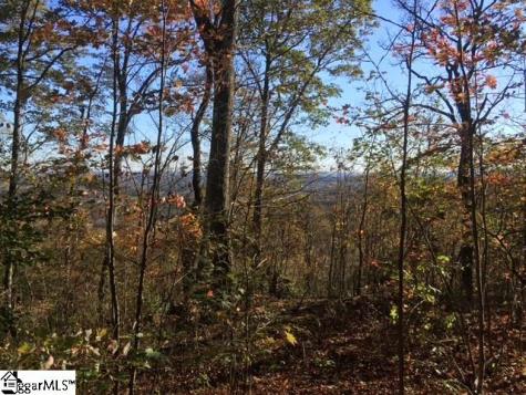 19 Grosbeak Way Landrum SC 29356