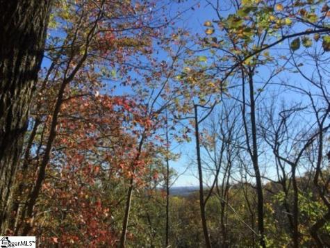 19 Grosbeak Way Landrum SC 29356