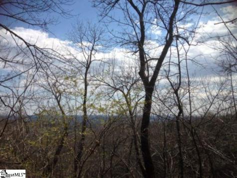 19 Grosbeak Way Landrum SC 29356