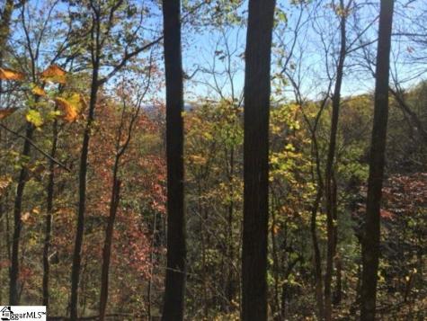 19 Grosbeak Way Landrum SC 29356
