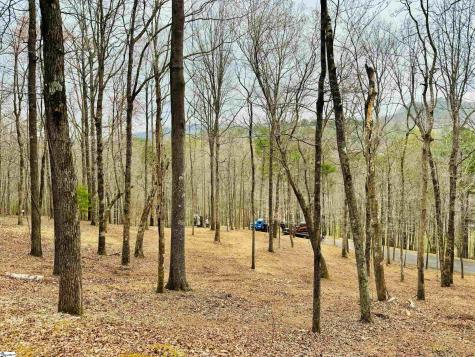 101 Crystal Brook Trail Travelers Rest SC 29690