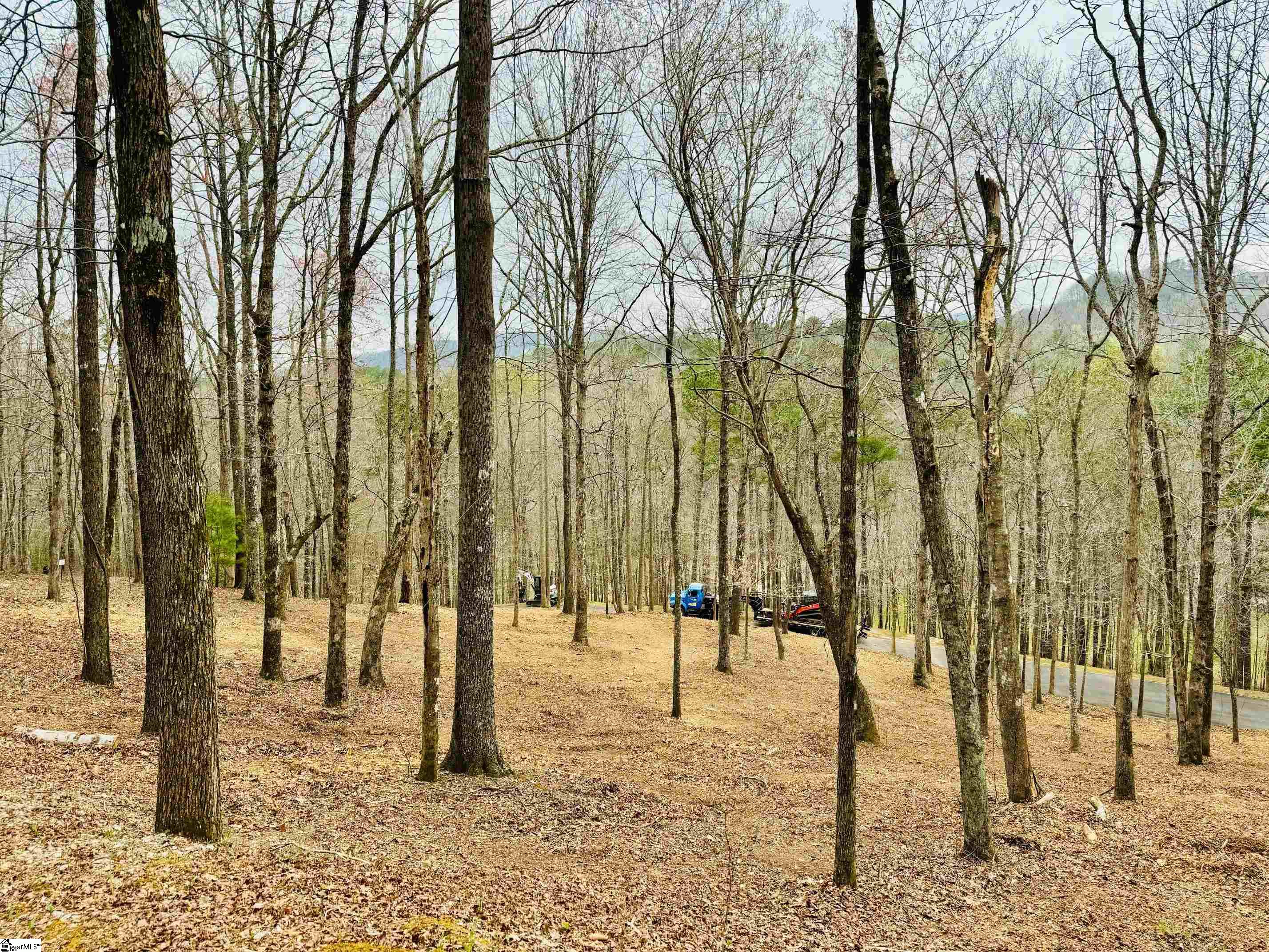101 Crystal Brook Trail Travelers Rest SC 29690