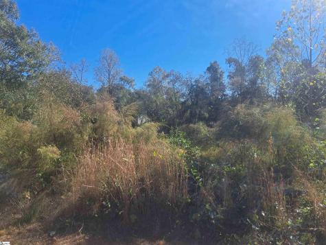 64 Juneau Court Greenville SC 29605