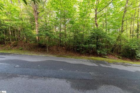113 Columbine Way Cleveland SC 29635