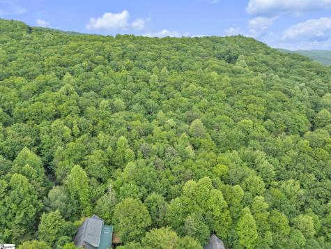 113 Columbine Way Cleveland SC 29635