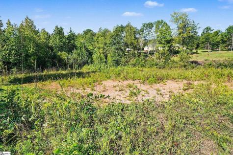 110 Spivey Creek Road Landrum SC 29356