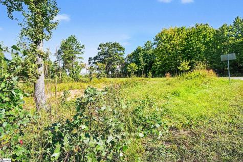 110 Spivey Creek Road Landrum SC 29356